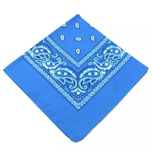 Paisley Mouth Protection